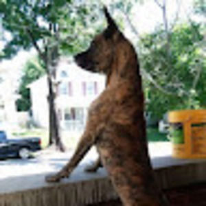 Meet your Posher, Rick